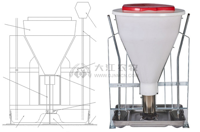 豬用干濕料槽的結(jié)構(gòu)